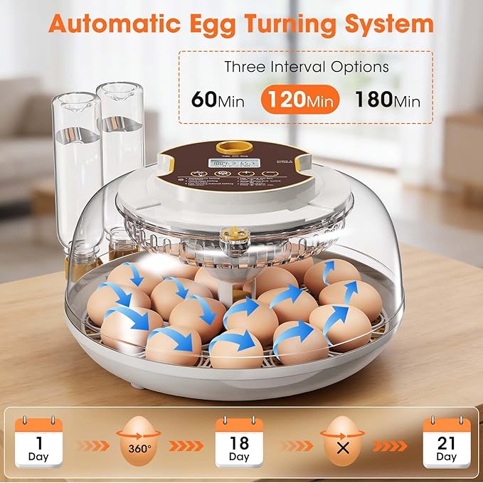 18 Egg Incubator with Automatic Egg Turning & Humidity Control, Built-in Egg Candler, 360° View Window & Dual-Size Trays for Chicken, Duck, Quail, Goose Eggs – Ideal for Farm, Classroom, Home - Image 4