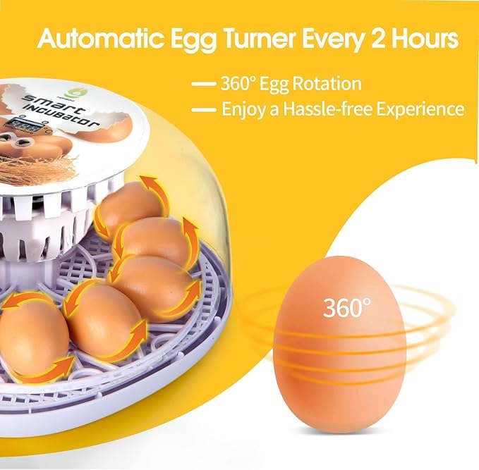 Explore 12 Egg Automatic Incubator for Beginners, Auto Egg Turning, Consistent Humidity with Auto-Refill Water Bottle & Stable Temp Control for Hatching Chicken, Goose, Duck, Quail, Pigeon, and Turkey - Image 2