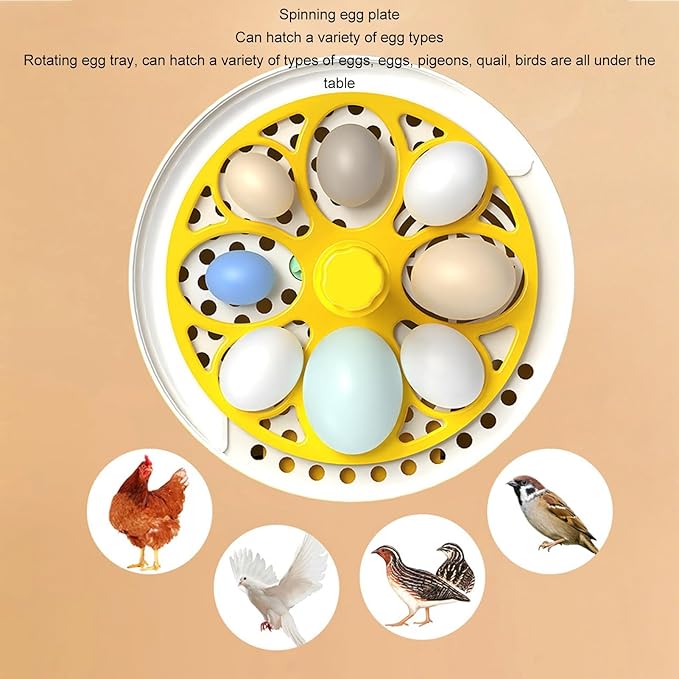 Hapivida 4 Eggs Mini Automatic Incubator, 7W Temperature Humidity Control Poultry Incubator Household Egg Turner for Chicken Duck or Other Eggs - Image 3