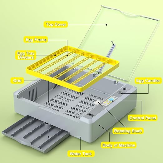 36 Eggs Incubator for Hatching Chicken/Goose/Quail/Duck/Turkey Eggs, 360° View Incubator with Automatic Egg Turning/Humidity Control/Low Humidity Alarm/Adjustable Tray, for Beginner/Farm/Teaching/Home - Image 9