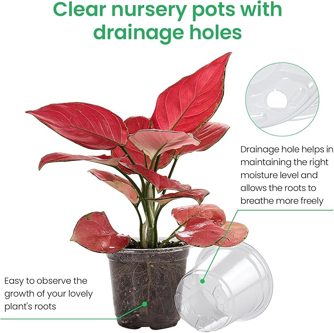 36 Packs 7/5/4/3.5 Inch Reinforced Clear Nursery Pots with Drainage Hole, Transparent Variety Pack Plastic Plant Pot Seedling Planter for Vegetable Propagation, Root Cutting, Seed Starting - Image 3