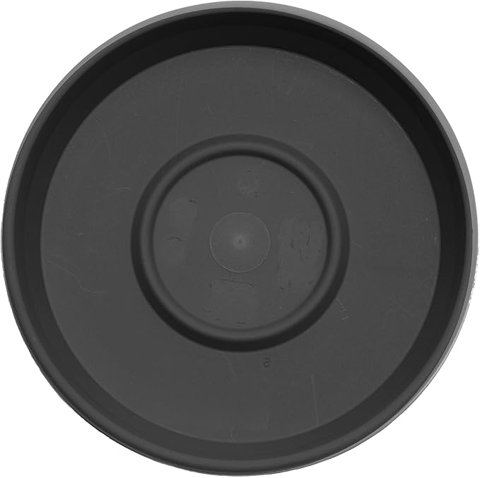 Bloem Terra Resin Saucer Tray: 4.75" Bottom Width - Black - Matte, Durable, Ribbed Bottom, Indoor and Outdoor, Fits 6" Terra Pots - Image 4