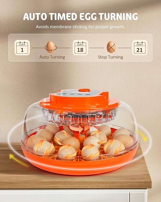 18 Egg Incubator with Automatic Turning & Humidity Control, Fully Automatic Incubators with 2 Trays, Egg Candler, for Hatching Chicken, Duck, Goose, Quail, Pigeon, Turkey, Home, Classroom, Farm Use - Image 6