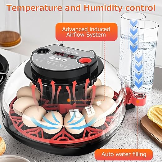 12 Egg Incubators for Hatching Eggs Automatic Egg Incubator with Temperature Control Humidity Control and Display for Chicken Duck Quail Eggs Auto Turner, Black red - Image 2