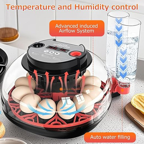 12 Egg Incubators for Hatching Eggs Automatic Egg Incubator with Temperature Control Humidity Control and Display for Chicken Duck Quail Eggs Auto Turner, Black red - Image 2