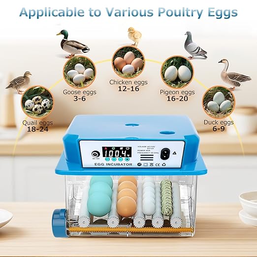 Automatic Egg Incubator 16 Egg Incubators for Hatching Eggs with Temperature Control Humidity Control and Display for Goose Chicken Duck Quail Pigeon Eggs Auto Turner, Blue - Image 2