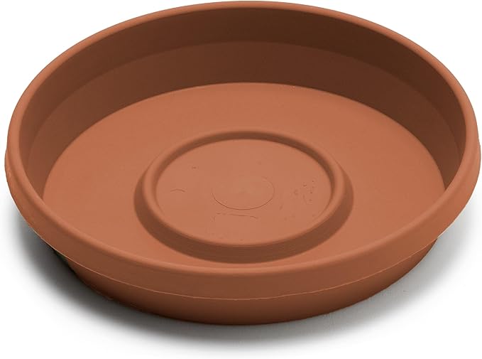 Bloem Terra Resin Saucer Tray: 15" Bottom Width - Terra Cotta - Matte, Durable, Ribbed Bottom, Indoor and Outdoor, Fits 20" Terra Pots - Image 4