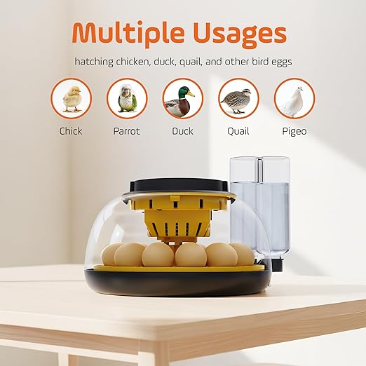 Incubators for Hatching Eggs with Automatic Egg Turning,Humidity Display Temperature Control,Auto Water Fill,Egg Candler,12 Egg Hatcher Incubate Chick Quail Duck Turkey Goose Parrot Bird - Image 4