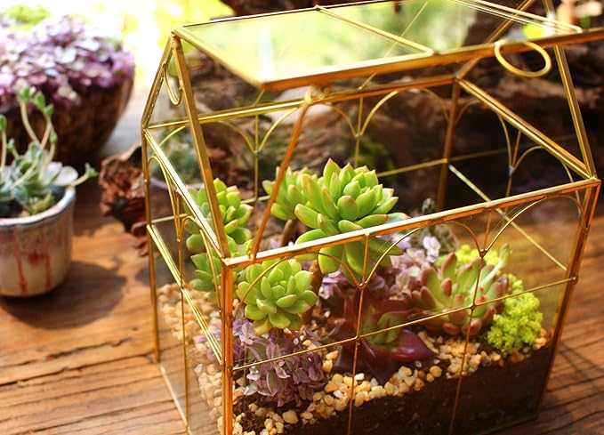 Glass Geometric Plant Terrarium,Succulent & Air Planter for Home Garden Office Decoration (Gold House) - Image 7