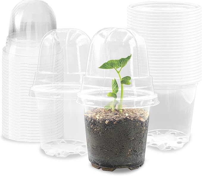 Transparent Nursery Pots 3.5Inch with Humidity Domes for Seeds Starting, Clear Plastic Plant Pots with Drainage Holes (3.54Inch, 40Pcs,Clear Pots with Lids) by RooTrimmer