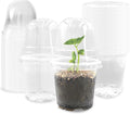 Transparent Nursery Pots 3.5Inch with Humidity Domes for Seeds Starting, Clear Plastic Plant Pots with Drainage Holes (3.54Inch, 40Pcs,Clear Pots with Lids) by RooTrimmer