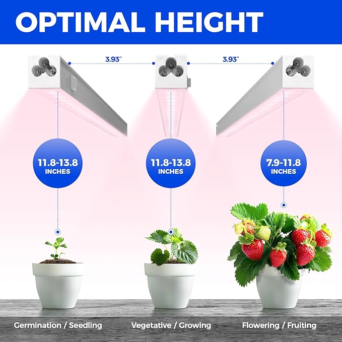 Barrina Grow Light for Indoor Plants, Full Spectrum Sunlight, 1ft Grow Lamp, LED Grow Light Bulbs, T5 Grow Light Strip, Plug and Play, Pinkish White, 4-Pack - Image 5