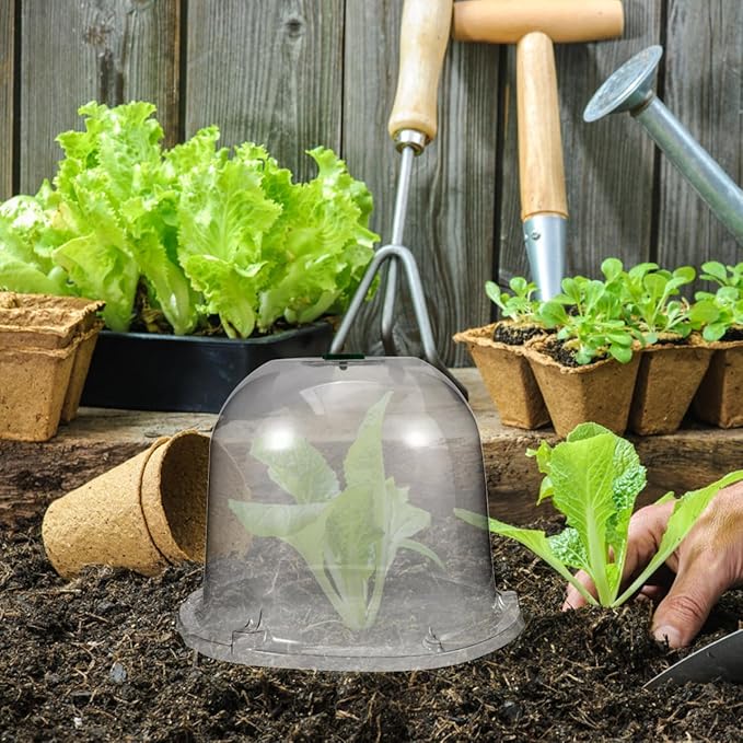 Mikikit Garden Cloche Dome Seedling Cover Plant Humidity Dome Nursery Protector with Air Vent Transparent Grow 10.23X10.23X7.87In - Image 2