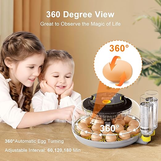 Incubator for Hatching Eggs-18 Egg Capacity, Automatic Egg Turner, Temperature & Humidity Control, 360° Viewing for Chicken, Duck and Quail Eggs - Image 4