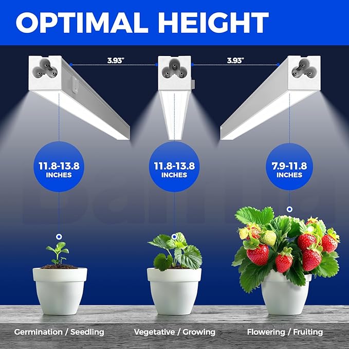 Barrina T5 Grow Lights for Indoor Plants, 5000K Full Spectrum, 1FT LED Growing Lamp, Plant Light Strip, for Seed Starting, Vegetables, Plug and Play, 4-Pack - Image 3