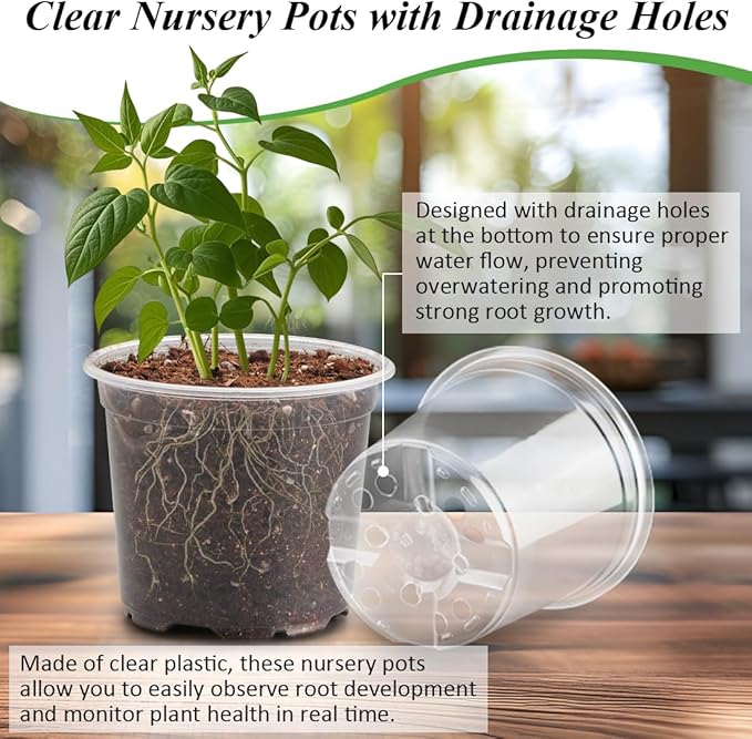 Transparent Nursery Pots 4Inch with Humidity Domes for Seeds Starting, Clear Plastic Plant Pots with Drainage Holes (4Inch, 30Pcs,Clear Pots with Lids) - Image 3