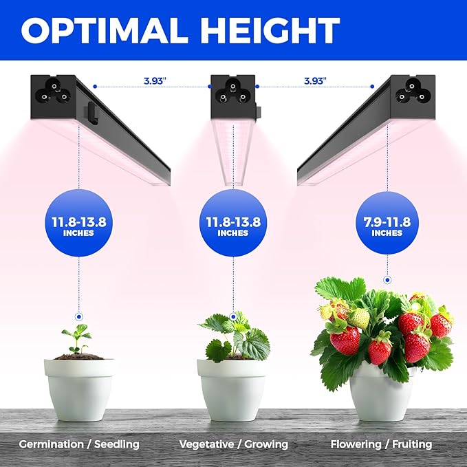 Barrina 1ft Grow Lights for Indoor Plants Full Spectrum, LED Grow Lamp with Black Cover, T5 Grow Light Strip, Under Cabinet Grow Light with Switch Cord, Plug and Play, Linkable, Pinkish White, 4 Packs - Image 6