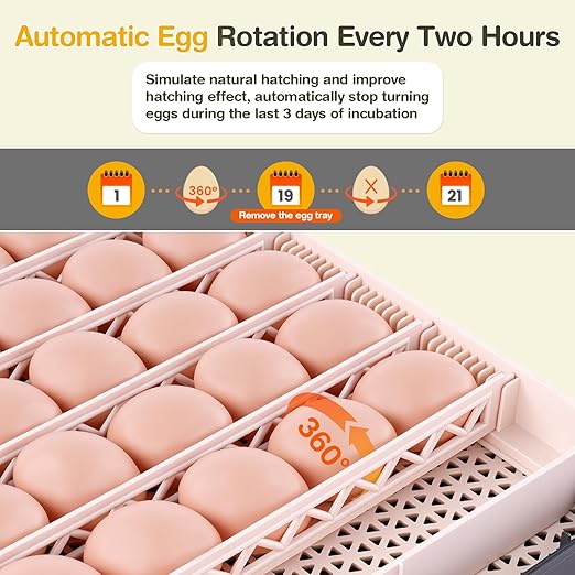 Sailnovo 48 Egg Incubator for Hatching Eggs with Auto Egg Turning, Precision Temp & Humidity Control, 360°Viewing, Egg Candler, Incubator for Chicken Eggs/Duck/Quail,Ideal for Farm/School/Lab,Gray - Image 5