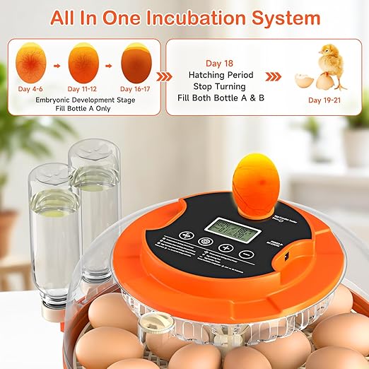 18 Egg Incubator for Chicken Eggs, Automatic Egg Turning and Humidity Control Incubator for Hatching Eggs Chicken Duck Quail Goose Peacock Turkey for Home Classroom Lab - Image 7