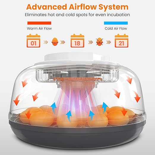 18 Egg Automatic Egg Incubator for Hatching Eggs, Chicken Egg Incubator with Auto Egg Turning, Humidity & Temperature Control, Hatch Day Counter, Egg Candler, 2 Egg Trays & External Water Bottles - Image 4