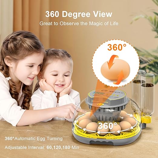 Incubator for Hatching Eggs-12 Egg Capacity, 2026 Newly Upraded Automatic Egg Turner, Temperature & Humidity Control, 360° Viewing for Chicken, Duck and Quail Eggs (Grey) - Image 4