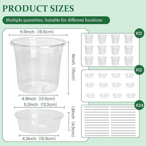 12 Pack 6.5 Inch Clear Self Watering Plant Pots with Bottom Water Tray & Watering Rope, Transparent Nursery Pots with Drainage for Seedlings, Herbs, and Houseplants - Image 2