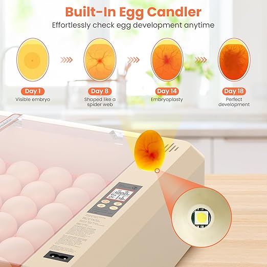 36-60 Egg Incubator with Automatic Egg Turning and Humidity Control, Adjustable Chicken Egg Incubator with Digital Display, for Hatching Eggs Include Chicken Duck Quail Eggs(Orange) - Image 5