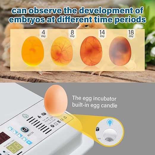 Incubators for Hatching Eggs, 120 Egg Incubator with Automatic Egg Turning and Humidity Monitor,Temperature Control, 5 Automatic Incubation Modes and Incubation Days Record, White - Image 5