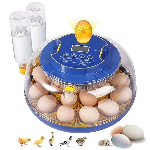 18 Egg Incubators for Hatching Eggs, Chicken Egg Incubator with Automatic Egg Turning and Temperature Humidity Control, 360° Clear View Lid or Home, Farm, Classroom, Hatching Chicken, Duck,Quail,Goose by HUMORRAP