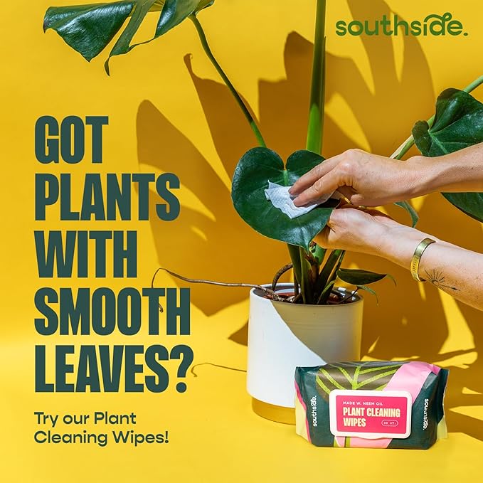 Southside Plant Cactus & Succulent Plants Cleaning Brushes - Wooden Handles w/Soft Goat Hair Bristles - Garden Cleaning Tools, Gentle on Plants, 7" & 3.2" Sizes - Pack of 2 - Image 5