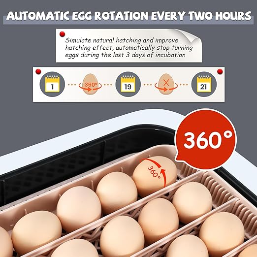 Sailnovo Incubators for Hatching Eggs 70 Egg Incubator with Automatic Egg Turning and Auto Humidification, Temperature Control, Incubator for Chicken Duck Quail Eggs, Perfect for Lab School Farm Use - Image 5