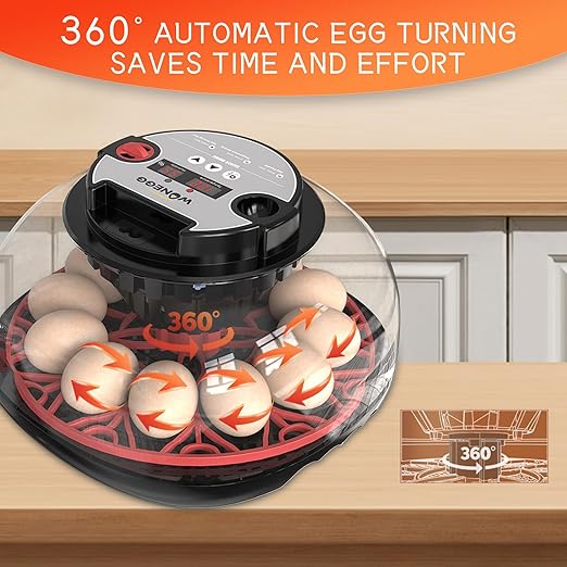 12 Egg Incubator for Hatching Eggs, Automatic Turner with Digital Temperature Humidity Control, 360° Clear View Lid, Auto Water Refill & Built-in Candler for Chicken Duck Quail Birds - Image 6