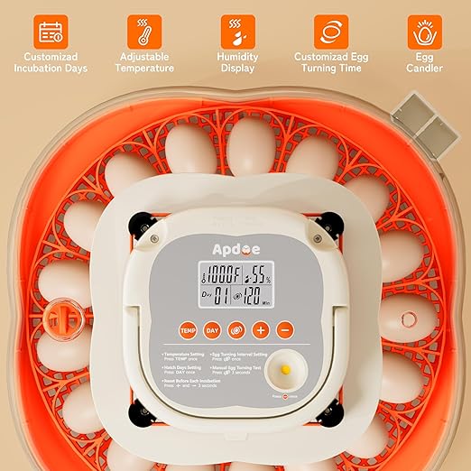 25 Egg Incubator, Extra-Large Interior with High Protective Wall, Top Carry Handle, Automatic Egg Turner, Preset Incubation Period, Auto Water Refill, for Chicken, Quail & Duck Eggs, APDOE HatchPro 25 - Image 7