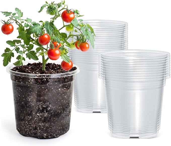 30 Packs 5 Inch Reinforced Clear Nursery Pots with Drainage Holes, Transparent Plastic Plant Pot Seedling Planter for Vegetable Propagation, Root Cutting, Seed Starting by Bluepro