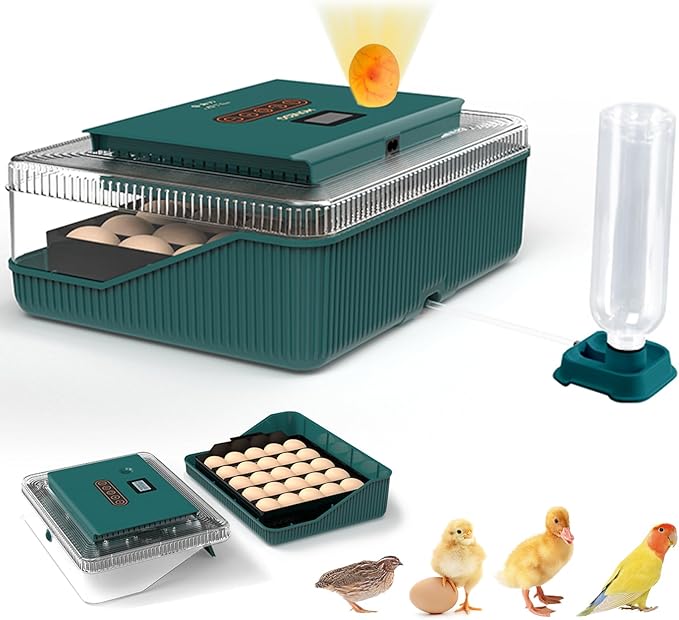 25 Eggs Incubator, Incubators for Hatching Eggs, with Automatic Egg Turning and Humidity Control, Egg Candler, Auto Water Replenishment, for Hatching Quail, Chicken, Duck, Goose Eggs (Dark Green) by Loyala