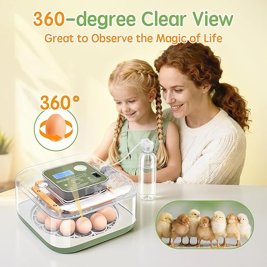 Incubator for Hatching Eggs Automatic Humidity and Temperature Control 12 Eggs Incubator, Digital Display Auto Turner 360° View Egg Candler for Chicken, Duck and Quail Bird Eggs - Image 4