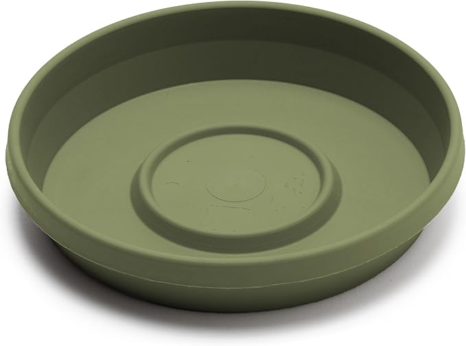 Bloem Terra Resin Saucer Tray: 11.25" Bottom Width - Matte, Durable, Ribbed Bottom, Indoor and Outdoor, Fits 14" Terra Pots, Living Green - Image 3