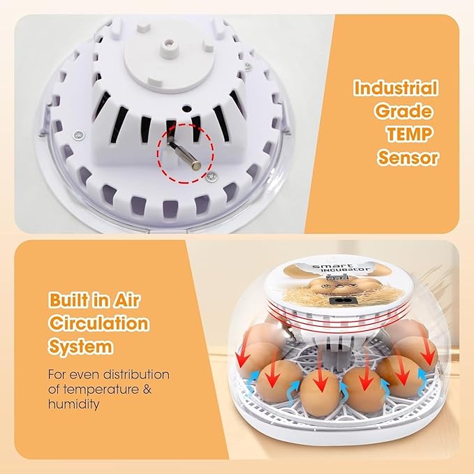 Incubators for Hatching Eggs, Chicken Waterer Cups, Automatic Egg Turner Holds 12 Eggs, Smart Incubator 360° Clear Window with Temperature Display Egg Candler for Small Poultry Chickens Ducks Quails - Image 7