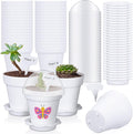 30 Pcs Plant Nursery Pots with Humidity Dome 2.95'' Small Plant Pots Plastic Gardening Container Planter Starter Seed Starting Trays for Seedlings Succulents with 30 Pcs Labels(White) by Jingmore