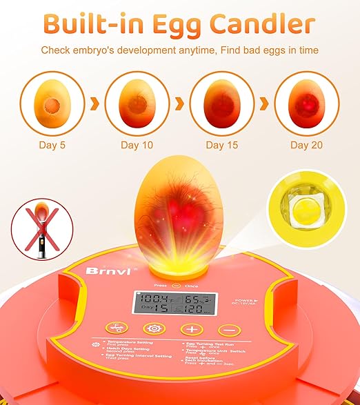 18 Egg Incubator with Automatic Egg Turning, Digital Temperature Humidity Control, Incubator for Hatching Eggs, 360° View Candler, Chicken, Quail, Duck, Goose, Turkey for Home & Farm - Image 5
