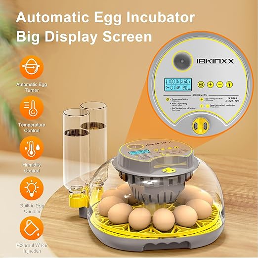 Incubator for Hatching Eggs-12 Egg Capacity, 2026 Newly Upraded Automatic Egg Turner, Temperature & Humidity Control, 360° Viewing for Chicken, Duck and Quail Eggs (Grey) - Image 3