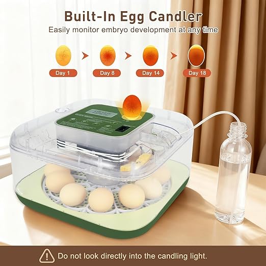 4th Gen – 12 Egg Fully Automatic Incubator, 2026 Upgraded Design, Intelligent Sensor-Based Humidity & Temp Control, Custom Hatch Days, Adjustable Auto Turnn with Auto-Stop, 360° View, Alarm, Candler - Image 2