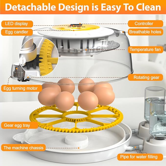 Egg Incubators for Hatching Eggs with Automatic Egg Turner, 8 Incubator for Chicken Eggs with Egg Candler for Chicken, Duck, Quail, Smart Egg Hatcher for Beginners & Kids - Image 5