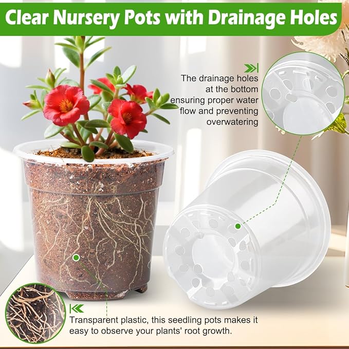 6 Inch Clear Nursery Pots with Humidity Dome, 30 Pack Reusable Seed Starter Pot with Drainage Holes, Transparent Plastic Plant Seedling Pots for Propagation Indoor Plants Outdoor Gardening - Image 3