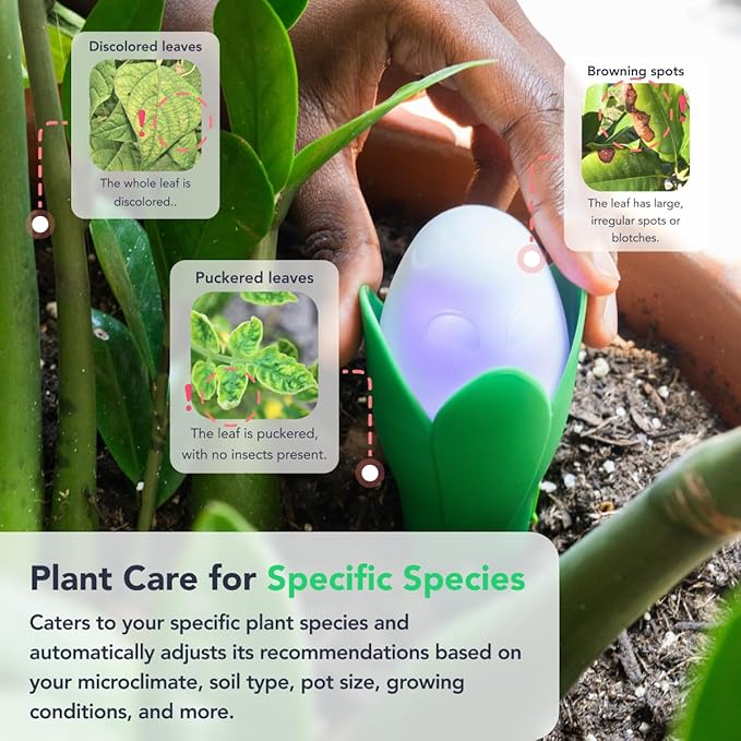 Flora Pod AI-Powered Smart Plant Monitor | for Indoor or Outdoor Plants | Personalized Alerts for Moisture, Temperature, Humidity, and Light - Image 5