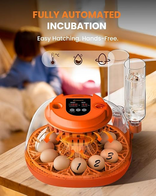 12 Egg Incubator with Automatic Turning & Humidity Control, Fully Automatic Incubators with Egg Candler, STEM/STEAM Educational kit, for Hatching Chicken, Duck, Quail, Pigeon, Home, Classroom Use - Image 2