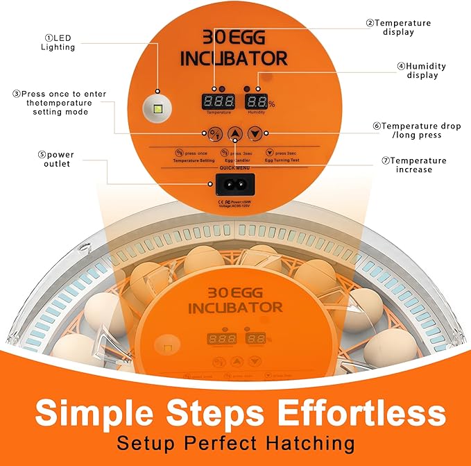 30 Egg Incubator with Automatic Egg Turning and Humidity Control,360 Degree View with Clear Window, Incubators for Hatching Eggs, Chicken, Ducks, Goose, Pigeon, Quail, Parrot - Image 3