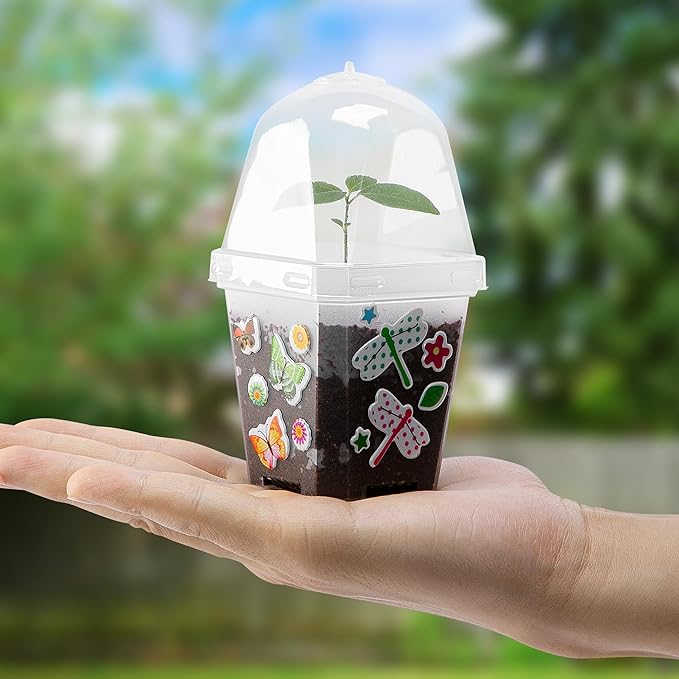 EBaokuup 10 Pack Clear Plant Nursery Pots with Humidity Dome-3" Reusable Plastic Gardening Pot with Printed Labels-Small Seed Starting Pots for Seedlings Vegetables Succulents Cuttings - Image 7