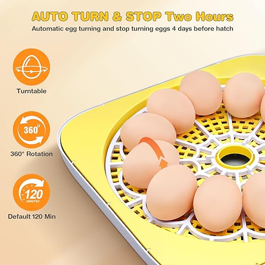Sailnovo 12 Egg Incubators for Hatching Egg with Auto Egg Turning and Auto Humidification,Incubator for Chicken Eggs,Temperature Control, Egg Candler,Ideal for Farm,School and Lab - Image 4
