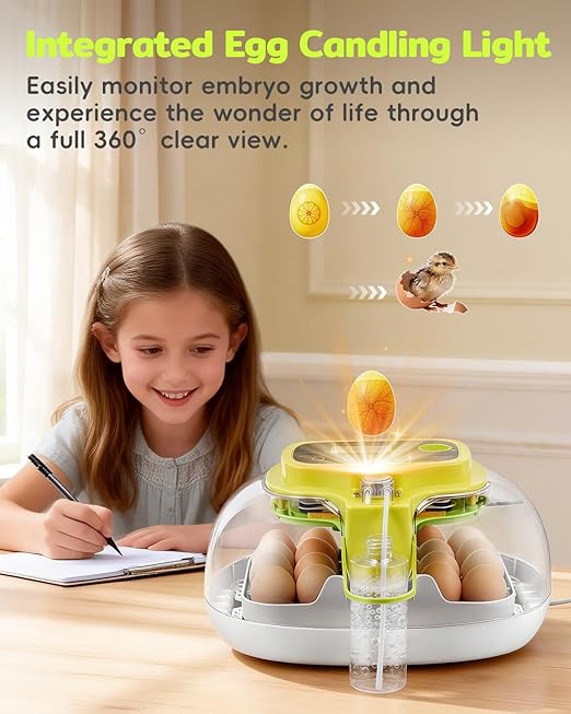 Incubators for Hatching Eggs, 2026 Upgraded 16 Eggs Incubator with Automatic Turner, Digital Temperature Control & Humidity Display and Led Candler, Poultry Hatcher for Chicken, Duck, Quail, Birds - Image 7